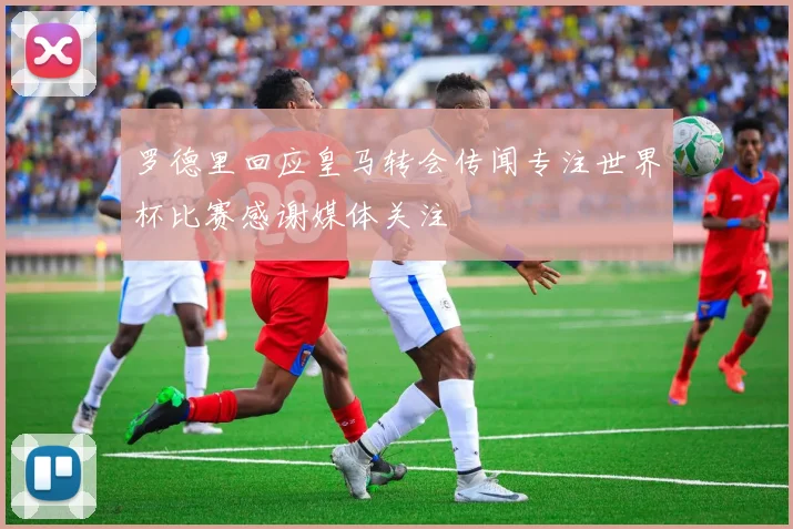 罗德里回应皇马转会传闻专注世界杯比赛感谢媒体关注